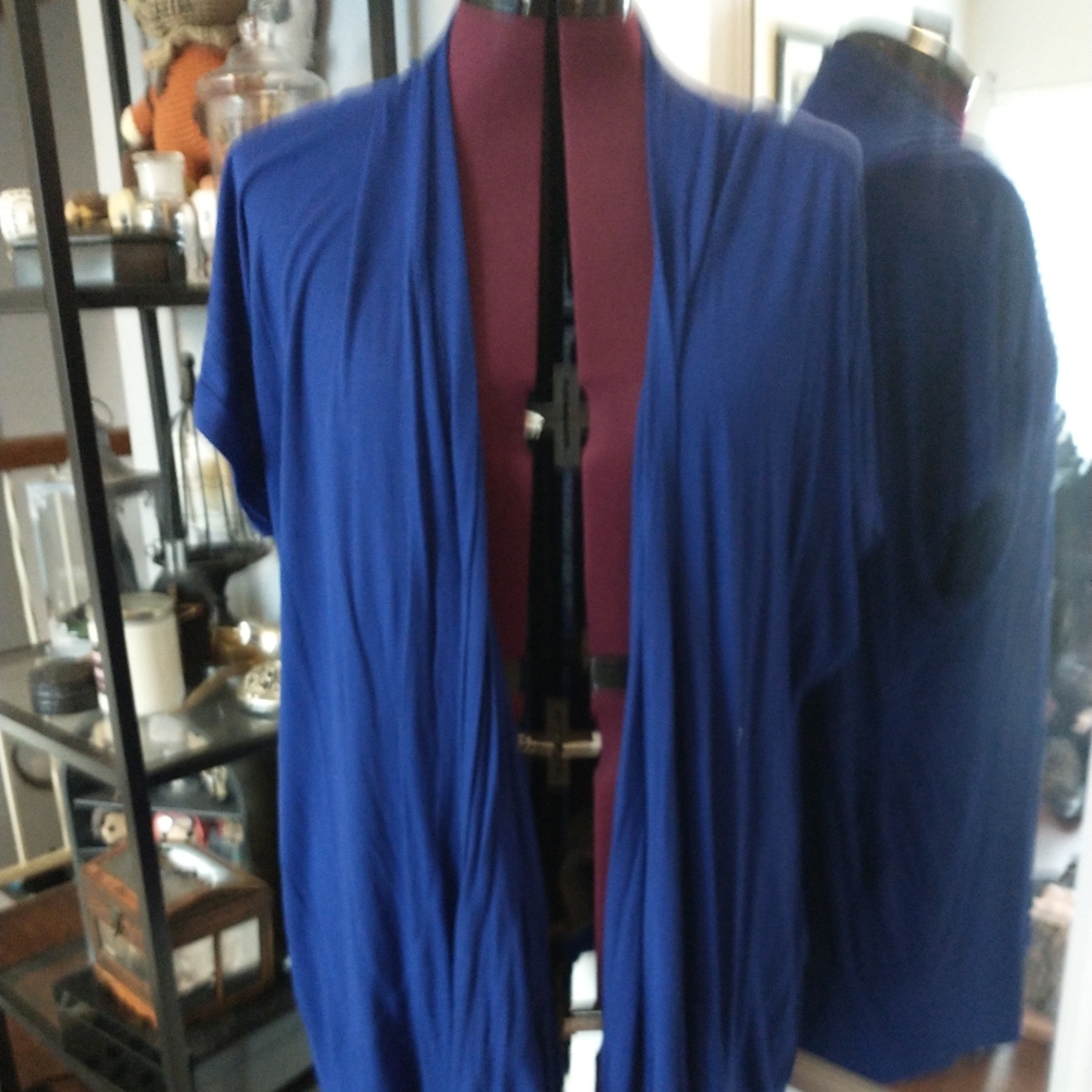 Vibrant blue cardigan